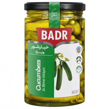 خیارشور ویژه بدر 650 گرمی